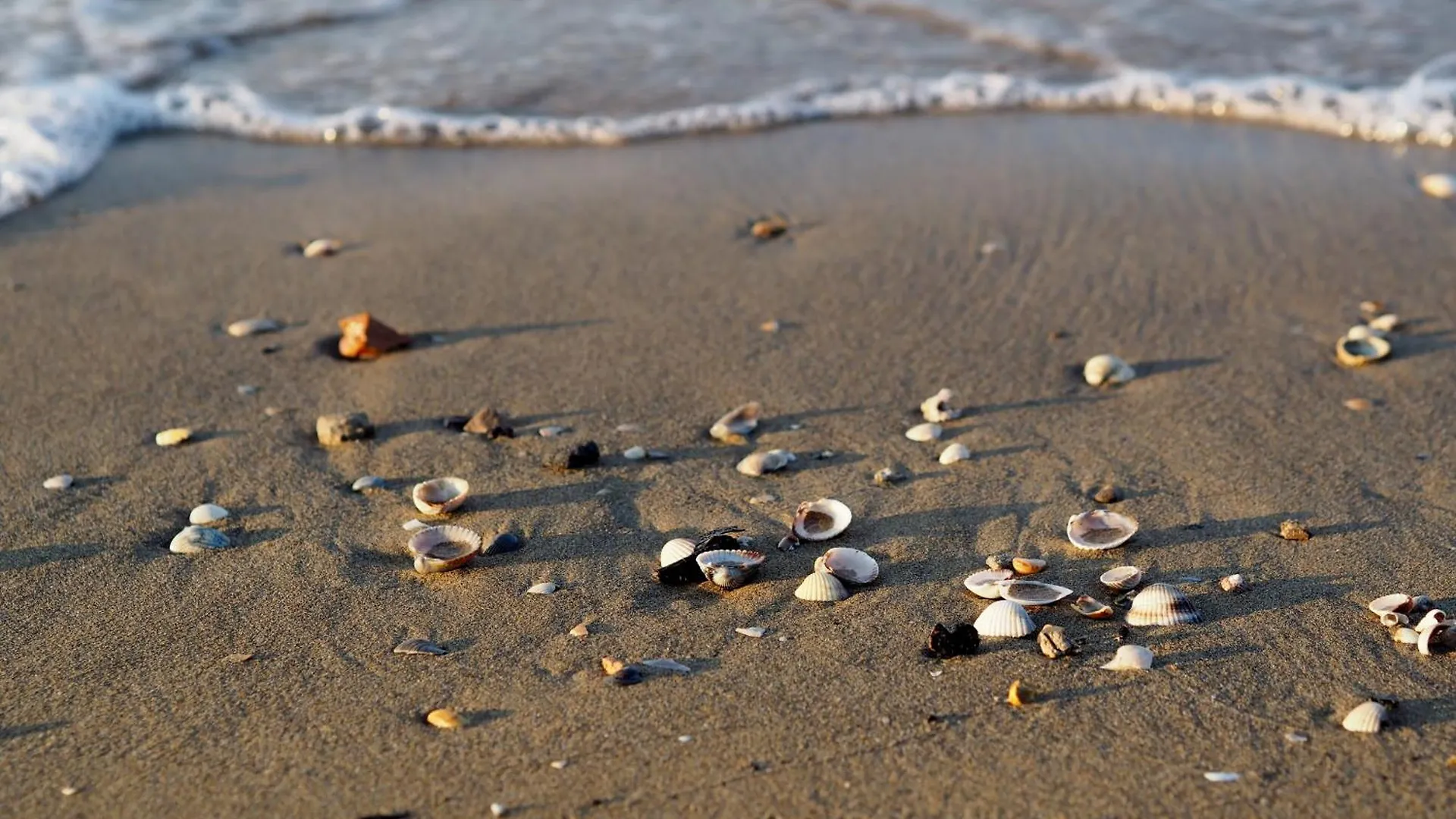 Beautiful Apartment With Sea View - Including Beach Place By Beahost Rentals Bibione